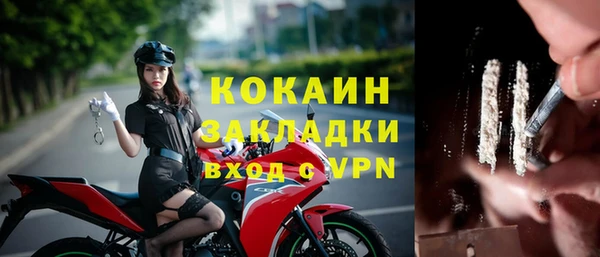 ПСИЛОЦИБИНОВЫЕ ГРИБЫ Баксан