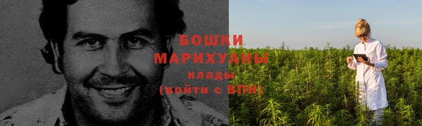 соль ск Балахна