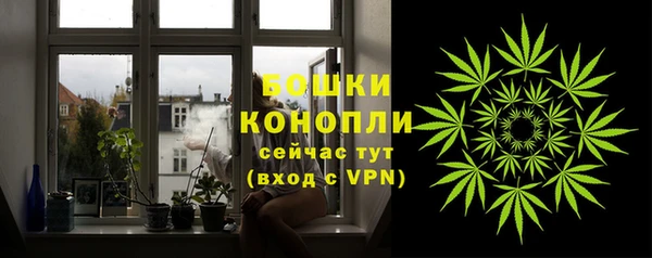 соль ск Балахна