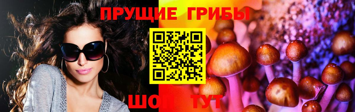 Псилоцибиновые грибы Psilocybine cubensis  Галлюциногенные грибы мухоморы  Белово  Вход с VPN 
