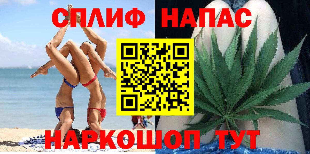 Каннабис OG Kush Белово